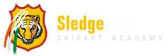 SledgeHammer Cricket Academy